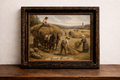 Rural harvest in golden light